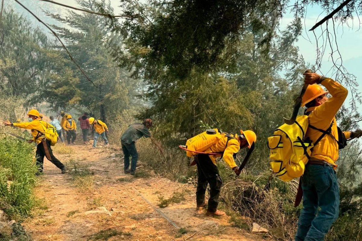 Por qué ocurren los incendios forestales / Foto: Protección civil 