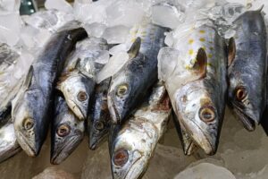 Registran baja venta en pescados y mariscos en San Juan del Río