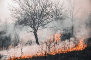 Sofocados 26 incendios en México