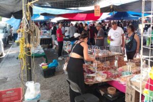 Rocío Alvarado: Morena no tiene acercamiento con el pequeño comercio
