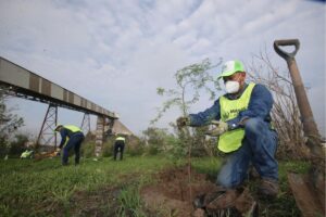 Cultivan más de 6 mil árboles para reforestar Monterrey