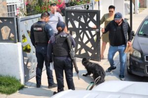Han procedido 17 casos de maltrato animal en San Juan del Río