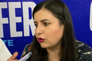 PAN no ha sido notificado de denuncias por violencia: Leonor Mejía