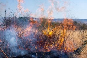 Por temporada, incrementa quema de pastizal en San Juan del Río