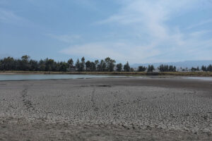 Declaran emergencia por sequía en Querétaro