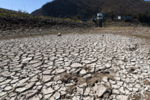 Asignan 35 mdp para afrontar la sequía/Foto: Cuartoscuro
