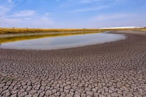 Declara Gobierno estatal emergencia por sequía