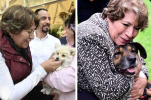 Delfina Gómez creará la primera Policía de Protección y Cuidado Animal y una Fiscalía Especializada