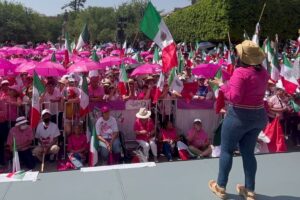 Piden en Marea Rosa salvar a Querétaro