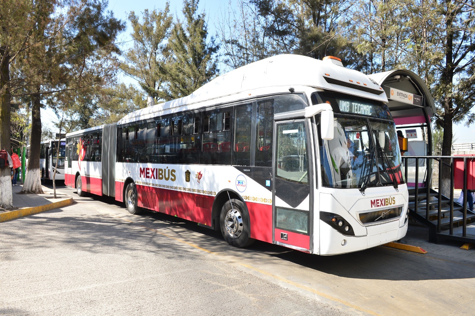 El gobierno de Delfina Gómez trabaja en la regularización del transporte público.