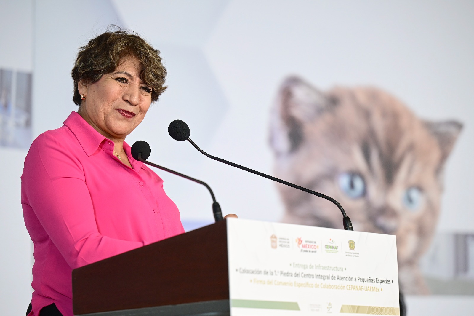 La gobernadora Delfina Gómez Álvarez es pionera en la implementación de acciones para el bienestar animal.