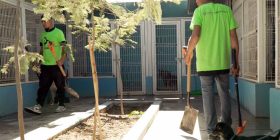 Impulsa El Marqués la protección animal en Querétaro
